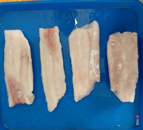 Corvina